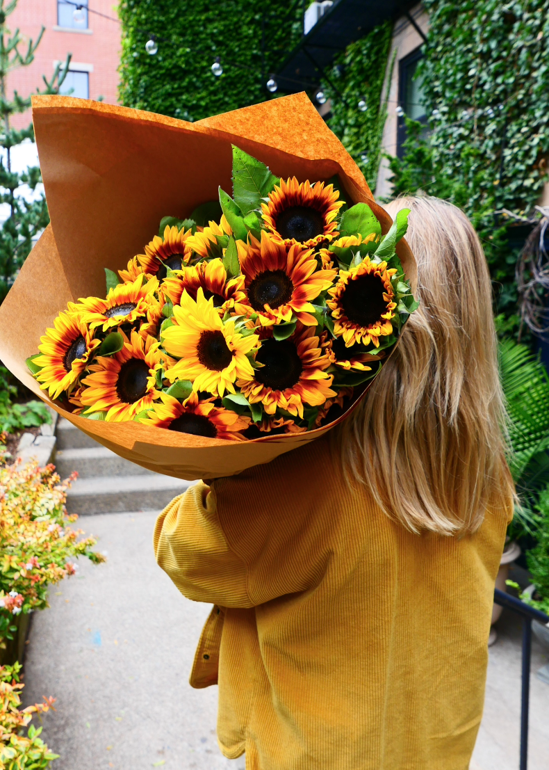 Sunflower Fields Collection