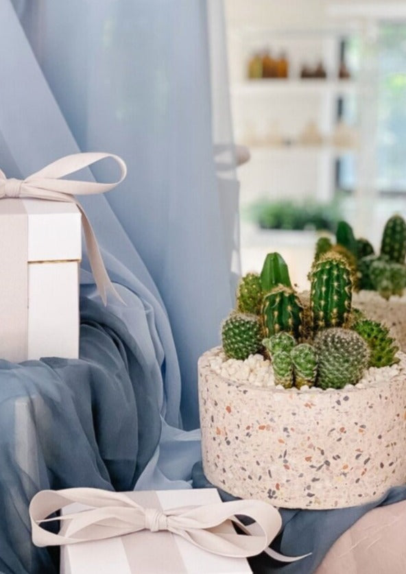 Stuck On You' Cactus Planter – Table & Tulip