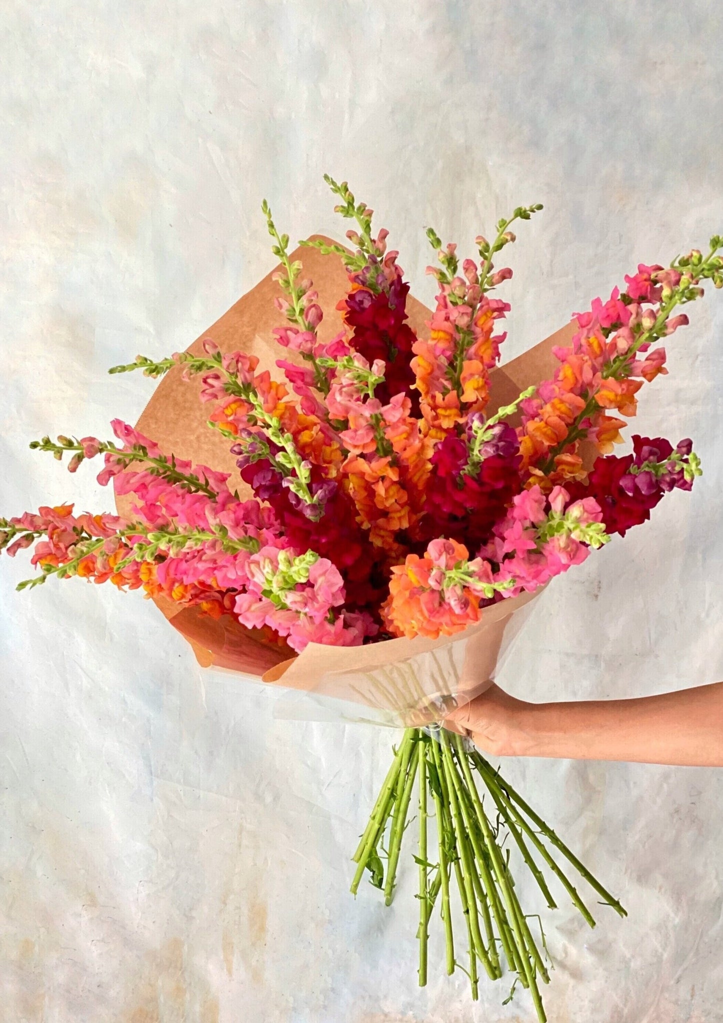'Color-Burst' Snapdragon Bouquet