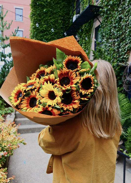 Sunflower Fields Collection