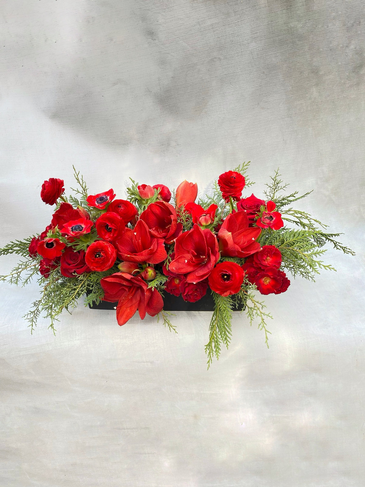 Red-Letter Long &amp; Low