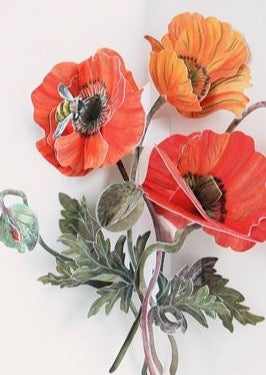 Poppy Pop-Up Card