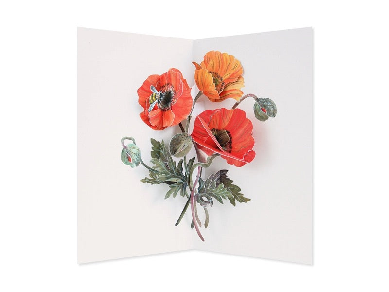 Poppy Pop-Up Card