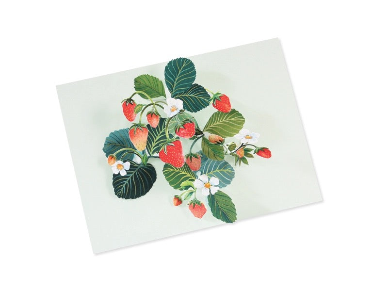 Strawberry Pop-Up Card