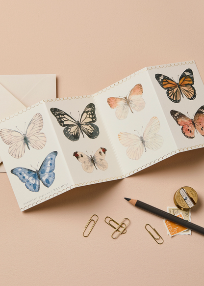 Butterfly Concertina Mini Card