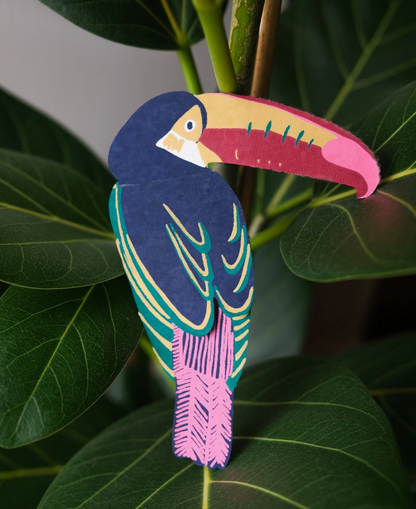 Toucan Greeting Card