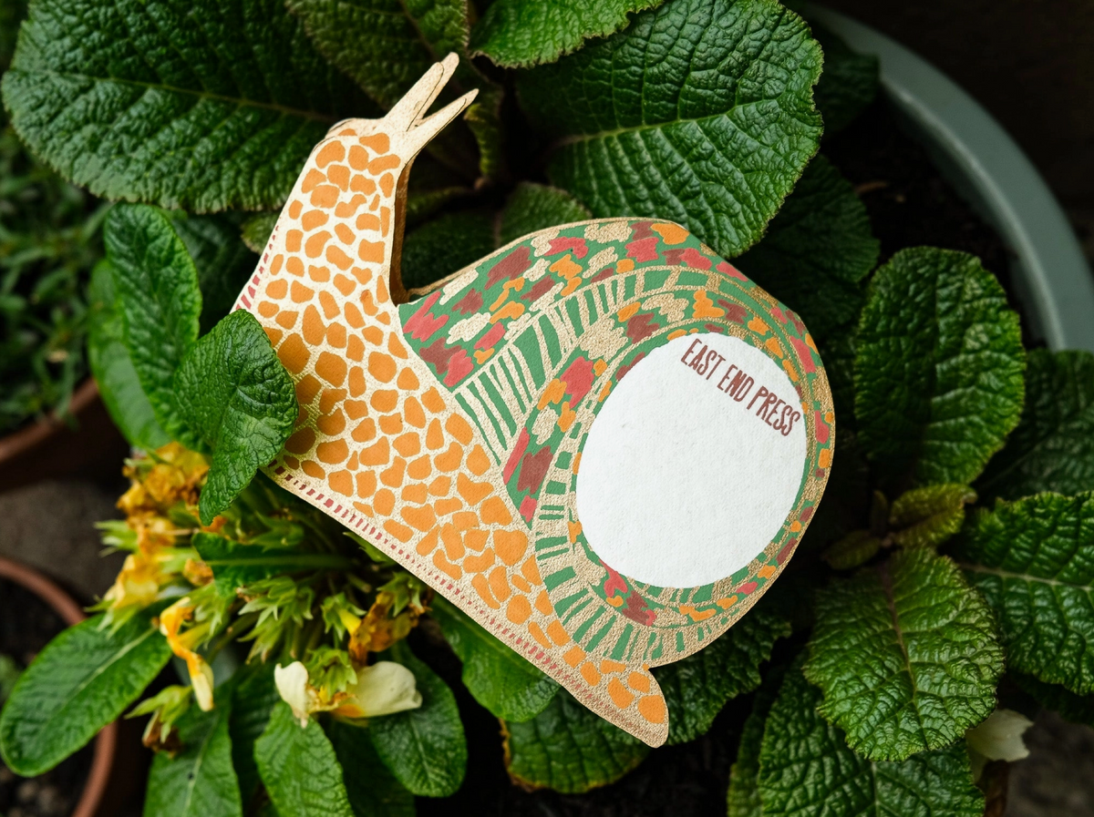 Snail Greeting Card