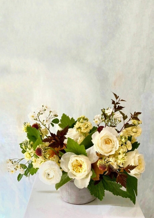 From The Garden