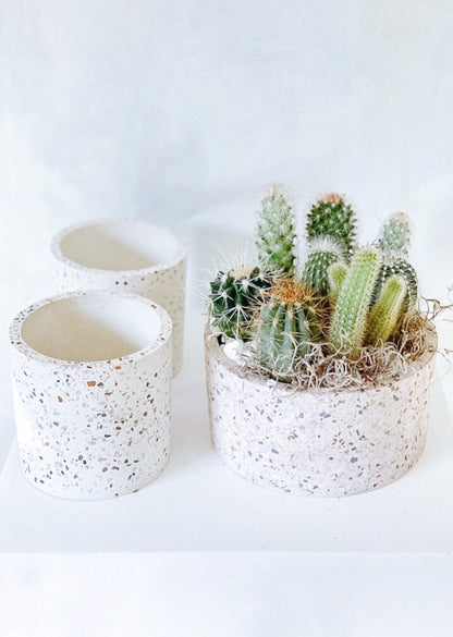 'Stuck On You' Cactus Planter