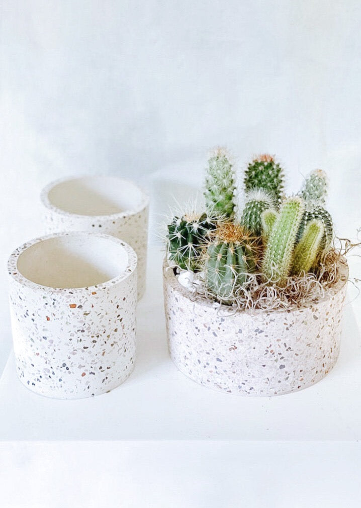 'Stuck On You' Cactus Planter