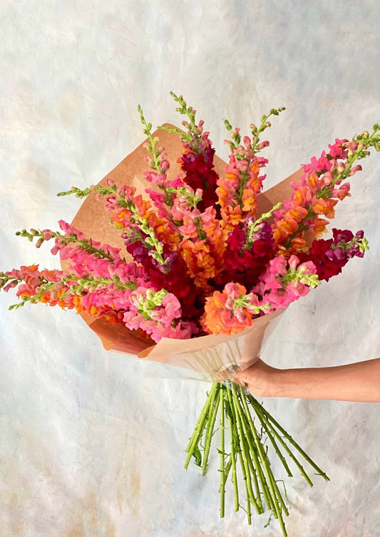 'Color-Burst' Snapdragon Bouquet