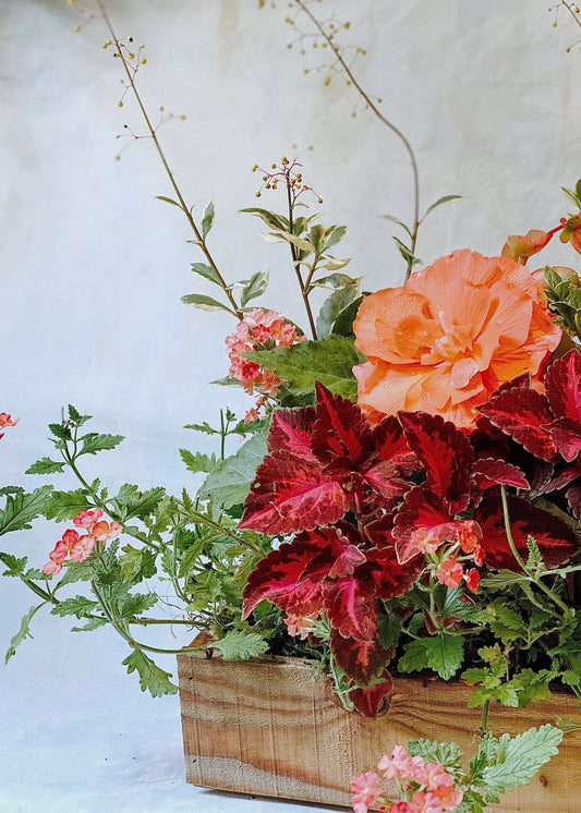 Summer Garden Box