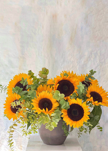 Sunflower Fields Collection