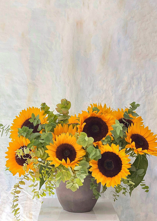 Sunflower Fields Collection